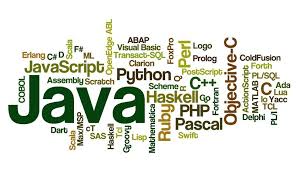 Introduction to Programming using Java/Python 